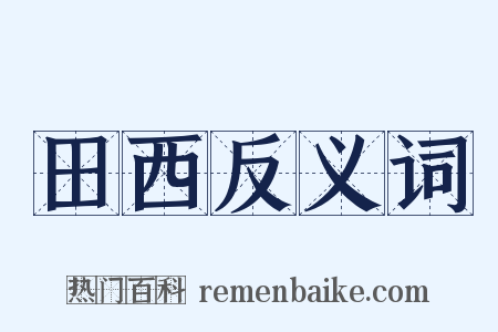 田西反义词是什么意思的图片